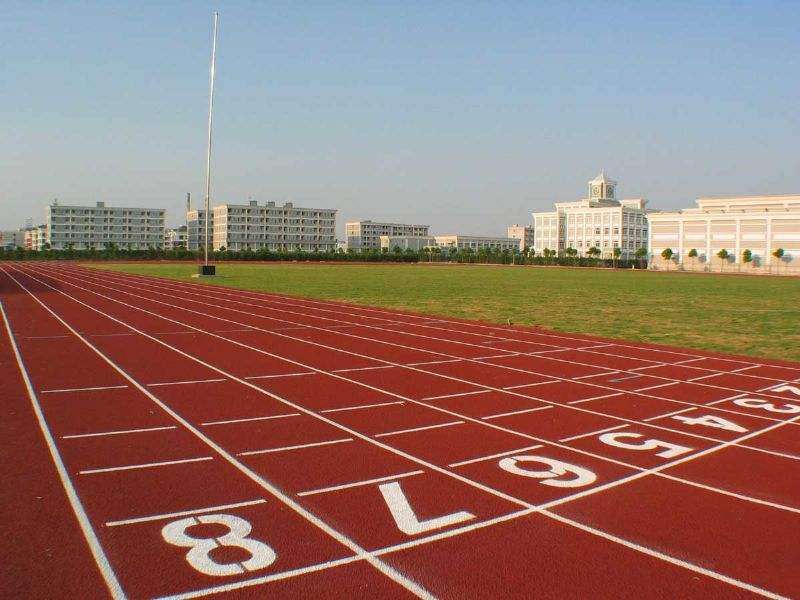 15527889628023746925.jpg IMG_2838.JPG